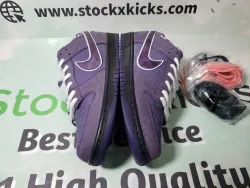 PK God Batch Nike SB Dunk Low Concepts Purple Lobster BV1310-555 review stockxkicks 04