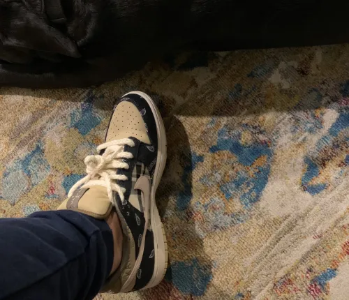 PK God Batch Nike SB Dunk Low Travis Scott CT5053-001 review 