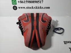 PK God Batch Nike SB Dunk Low Concepts Red Lobster 313170-661 review STOCKXKICKS 05