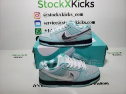 PK God Batch Nike SB Dunk Low Concepts Verde acqua Lobster BV1310-402 review stockxkicks  04