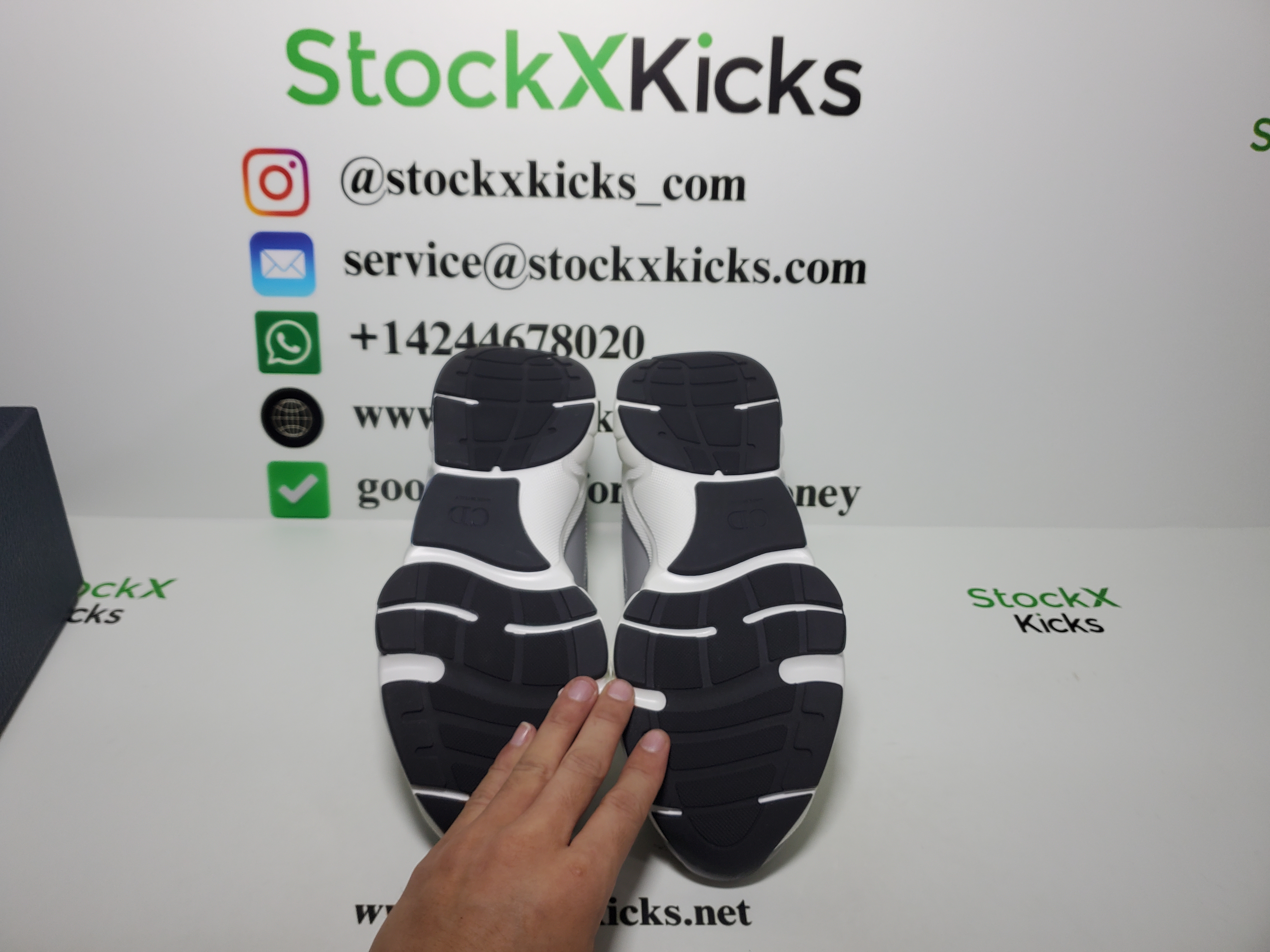 Dior B22 White Blue 3SN231YXX_H865 review stockxkicks 06