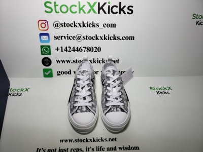 Dior B23 Low Top Logo Oblique 3SN249YJP_H069 review stockxkicks.org 05