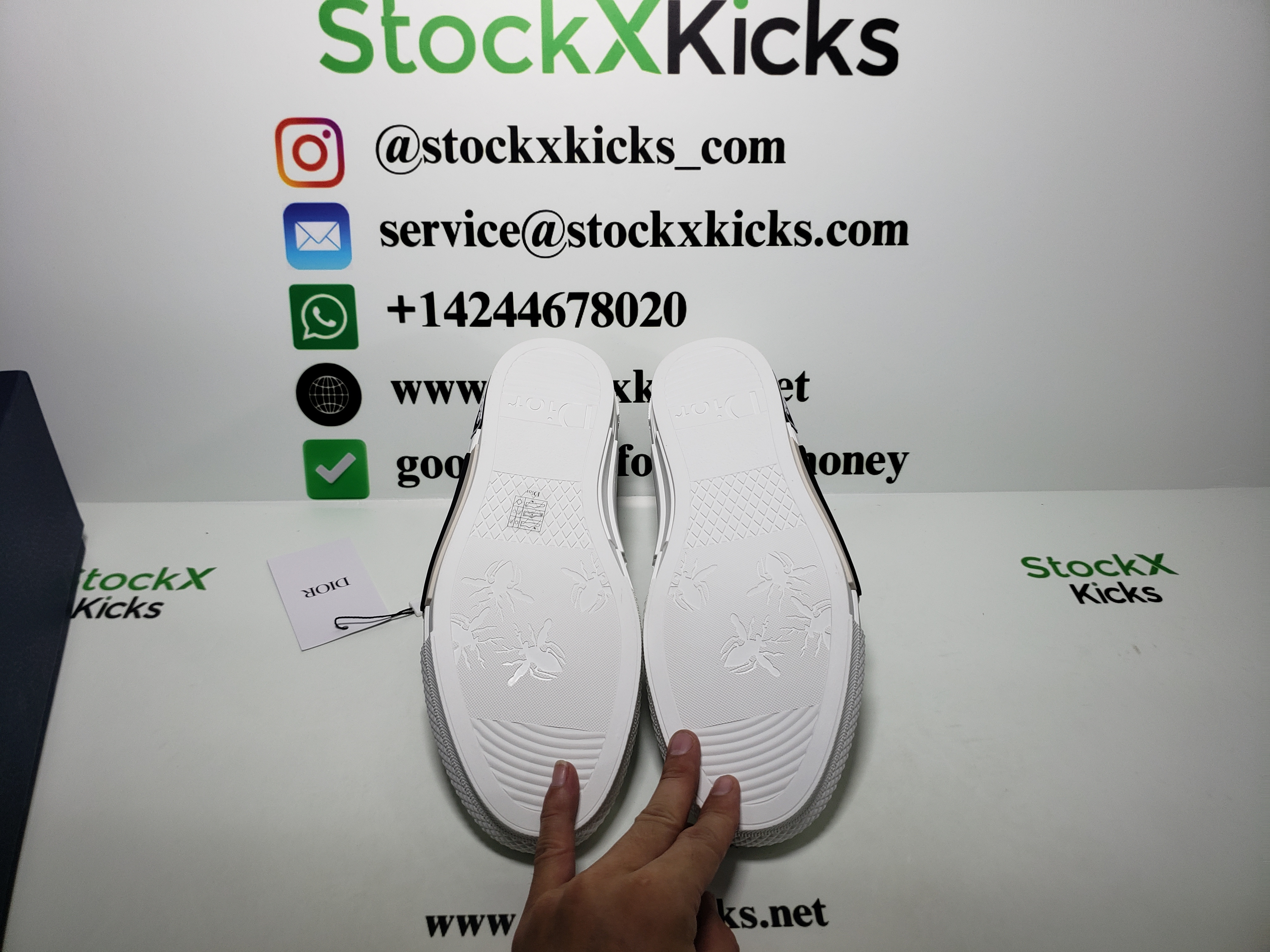 Dior B23 Low Top Logo Oblique 3SN249YJP_H069 review stockxkicks.org 06