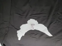 Yeezy Gap Engineered by Balenciaga Dove Hoodie review stockxkicks.org 05