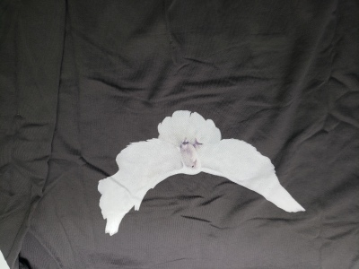 Yeezy Gap Engineered by Balenciaga Dove Hoodie review stockxkicks.org 04