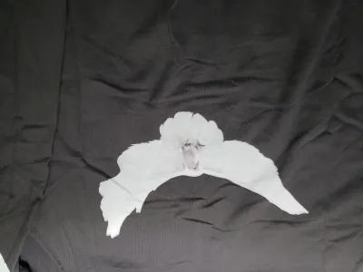Yeezy Gap Engineered by Balenciaga Dove Hoodie review stockxkicks.org 04