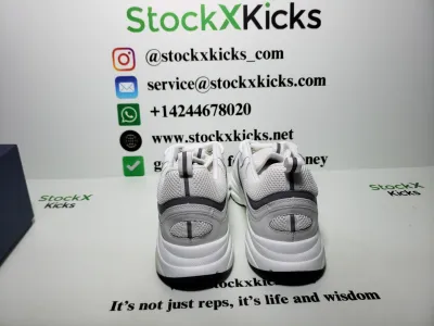 Dior B22 White Silver 3SN231YJG_H000 review stockxkicks.org  01