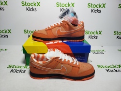 LJR Batch Nike SB Dunk Low Concepts Orange Lobster FD8776-800 review Stockxkicksvip 05