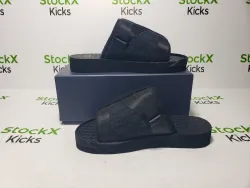 Dior Alpha oblique Black 3SA081YYV H060 review Stockxkicks 07
