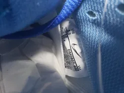 LJR Batch Nike SB Dunk Low Blue Raspberry DM0807-400 review Stockxkicksvip 05