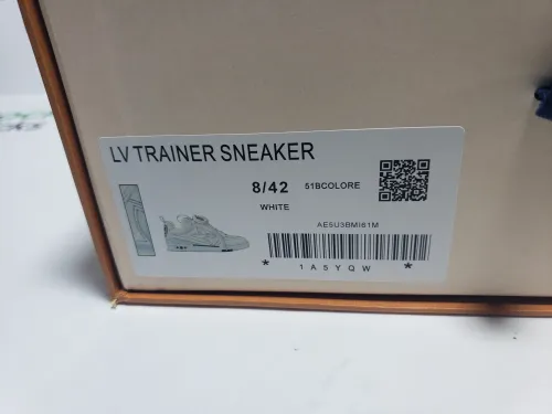 Louis Vuitton Skate Sneaker Grey CK24060303 review 