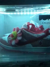 LJR Batch Nike SB Dunk Low StrangeLove Skateboards CT2552 800 review Damontre Wilcher