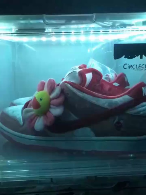 LJR Batch Nike SB Dunk Low StrangeLove Skateboards CT2552 800 review 