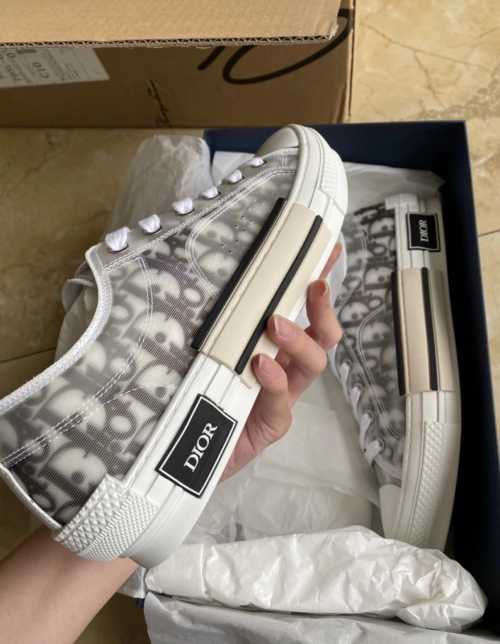 Dior B23 Low Top Logo Oblique 3SN249YJP_H069 review 