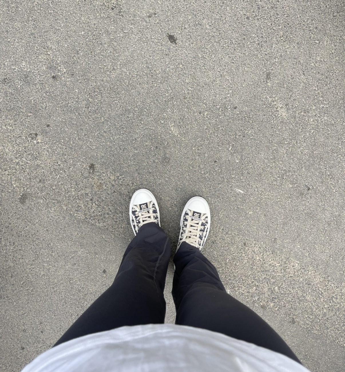 Dior Wmns WalkNDior Embroidered Canvas Low Deep Blue KCK211OBE_S56B review William ONeal