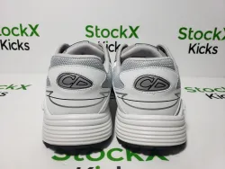 Dior B30 Sneakers Gray White 3SN279ZLZ_H860 review Stockxkicks 03