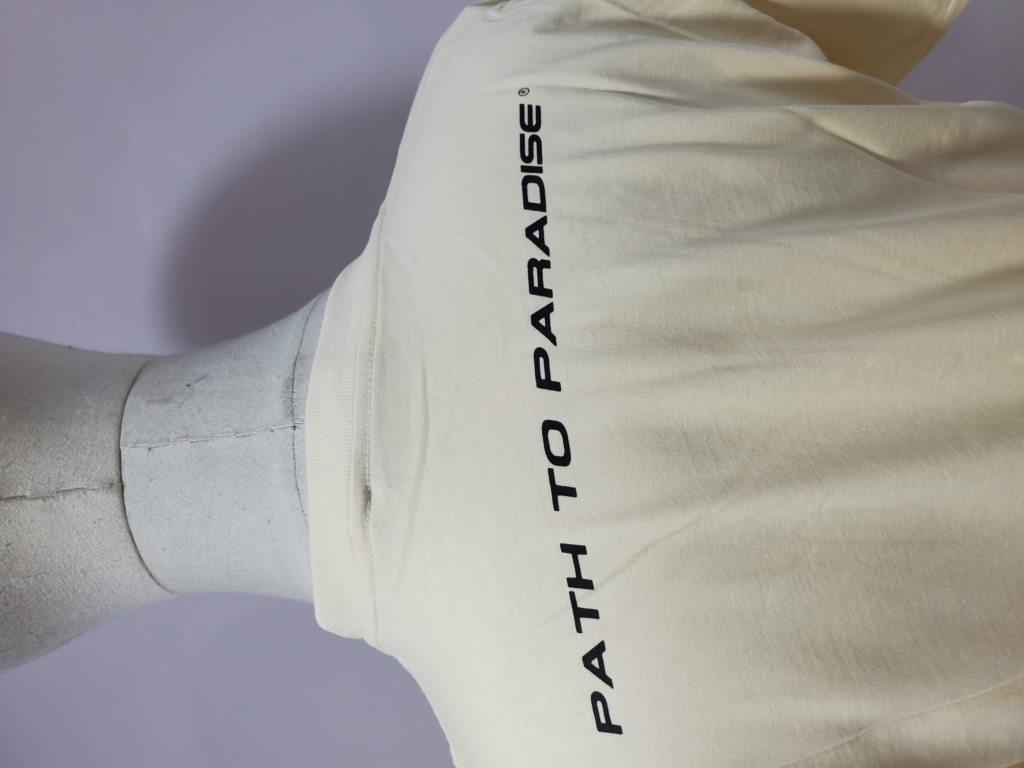 Hellstar Thorn Glitter T-Shirt White review Stockxkicks 03