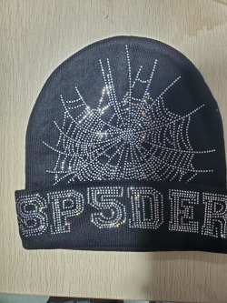 Sp5der Web Beanies Black/Brown/Purple/Pink/Green/Orange EG80 review Stockxkicks 04