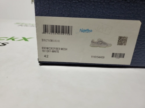 Dior B30 Sneakers Reflective CD30 Cream Green 3SN279ZRD-H166 review 