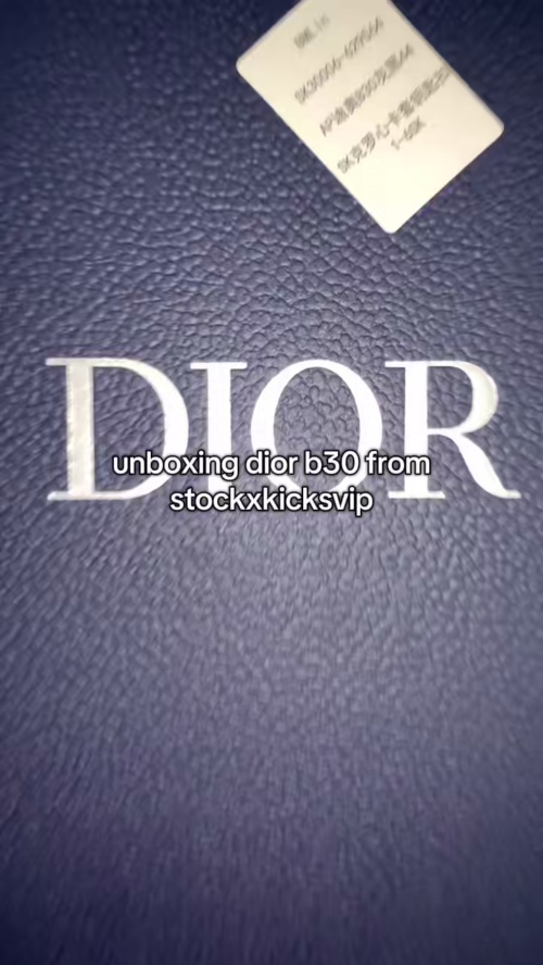 Dior B30 Sneakers Dark Grey 3SN27ZIR-16536 review 