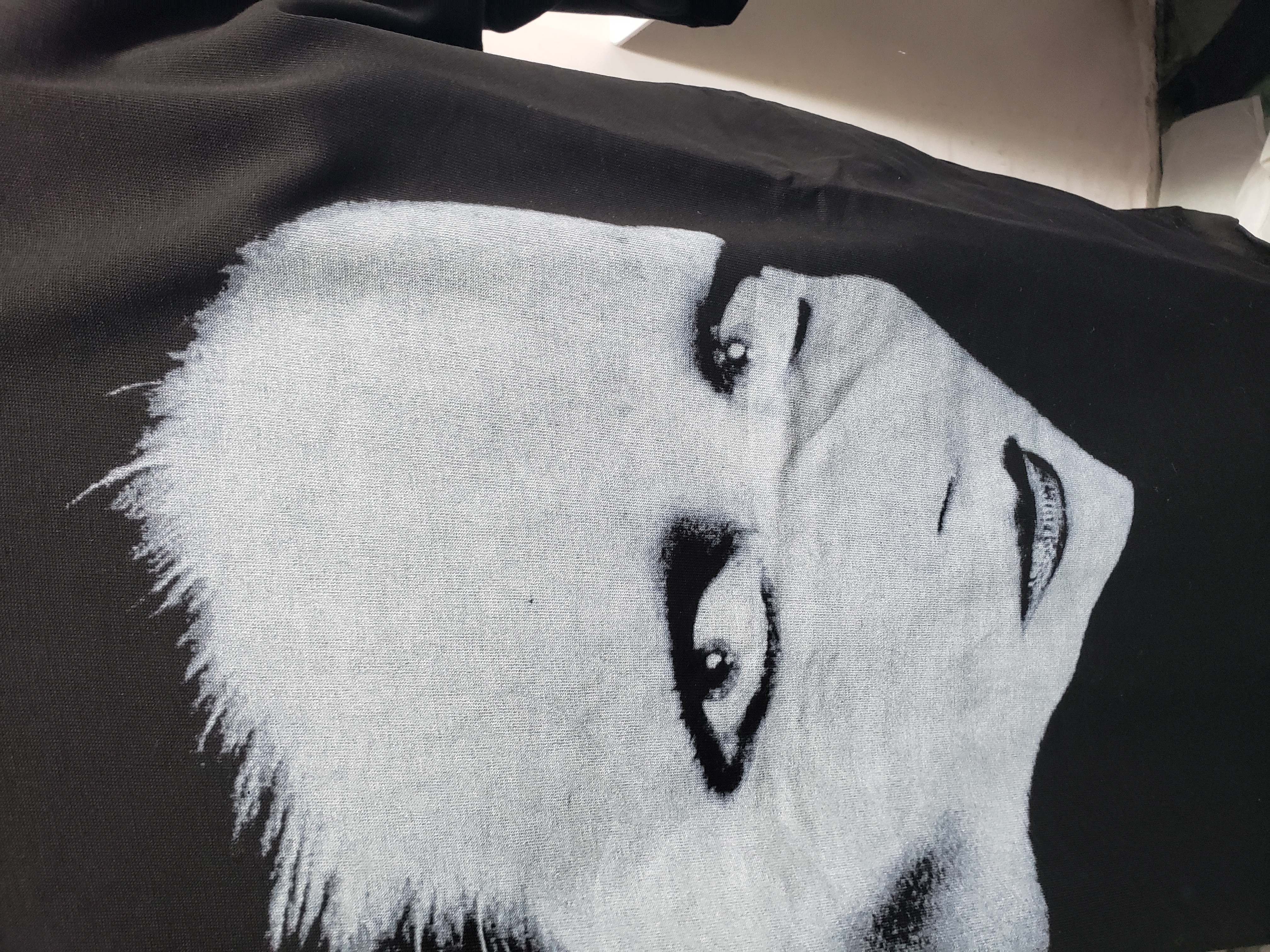 Balenciaga 25ss Mina Portrait Album Printed T-shirt Black review Stockxkicksvip 01