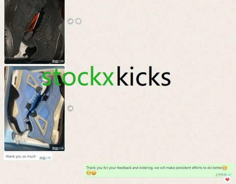 Reviews are constantly updated😜