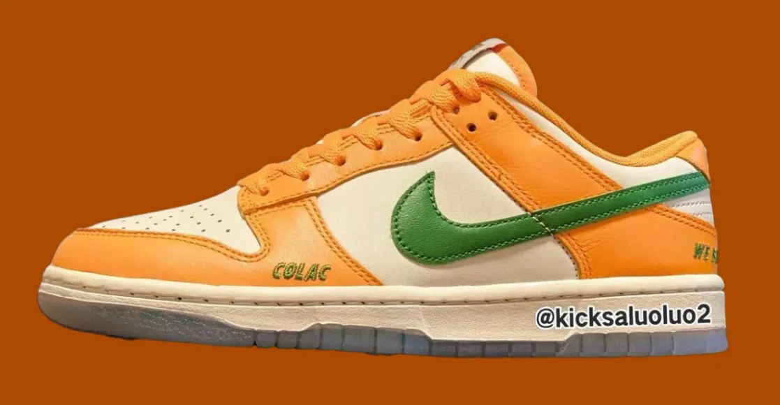 Nike Teams Up With Florida A&M For The Dunk Low