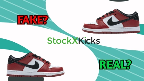 Nike Dunk SB Fake Vs Real