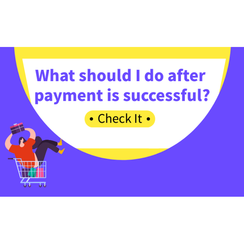 What should I do after the payment is successful?
