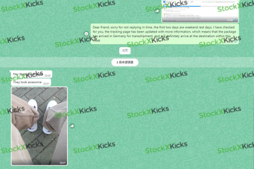 Feedback For Best Replica LJR Batch Air Jordan 4 Retro Metallic Purple CT8527-115 From Stockxkicks Customers