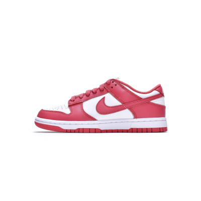 LJR Nike Dunk Low Archeo Pink (W) DD1503-111