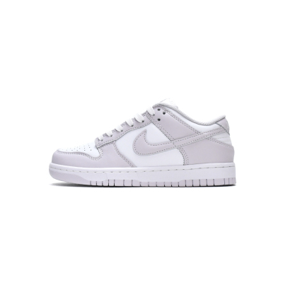 LJR Nike Dunk Low Venice (W) DD1503-116