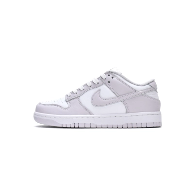LJR Nike Dunk Low Venice (W) DD1503-116 01