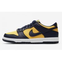 LJR Nike Dunk Low Michigan (2021) DD1391-700