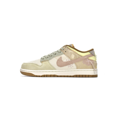 LJR Nike Dunk Low On the Bright Side (W) DQ5076-121