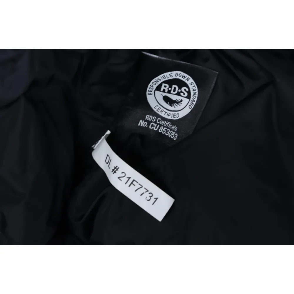 The North Face 30th Anniversary Limited Edition Down Jacket in Black