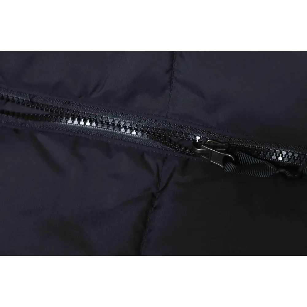 The North Face 30th Anniversary Limited Edition Down Jacket in Black