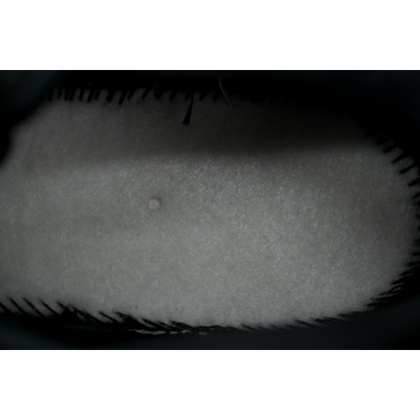 Nike SB x Air Max 95 'Cactus Flower'   HF7545-100