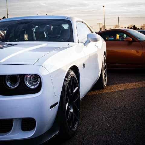 White Colored PPF