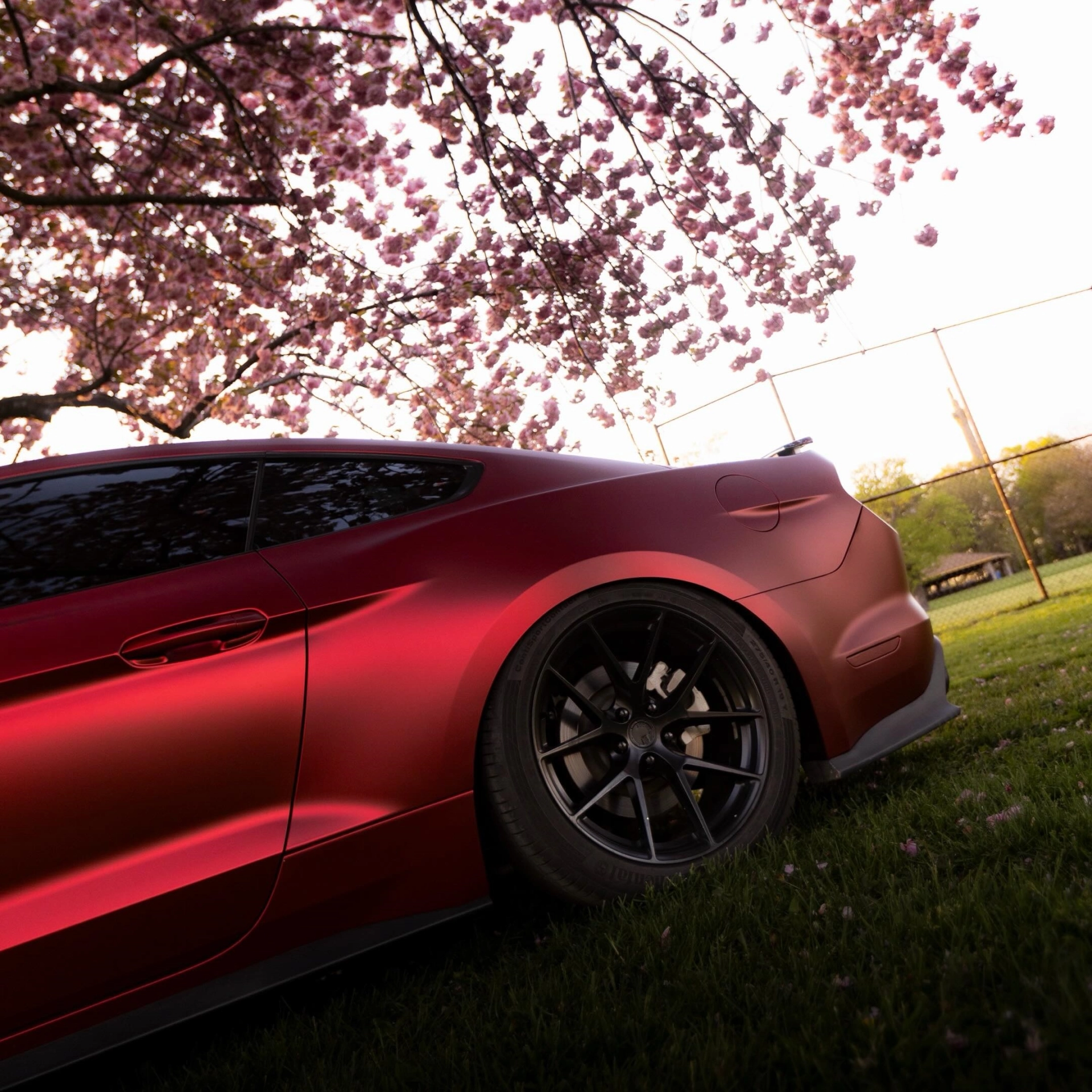 satin chrome wrap