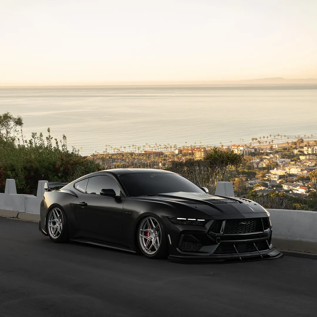 Black Color PPF