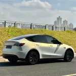 Matte Metallic Chameleon Gold Grey Car Vinyl Wrap
