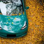 Gloss Storm Green Car Vinyl Wrap