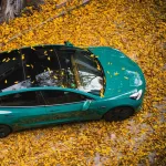 Gloss Storm Green Car Vinyl Wrap