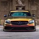 Chameleon Gold Red