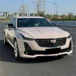 Gloss First Love Pink Car Vinyl Wrap Sale