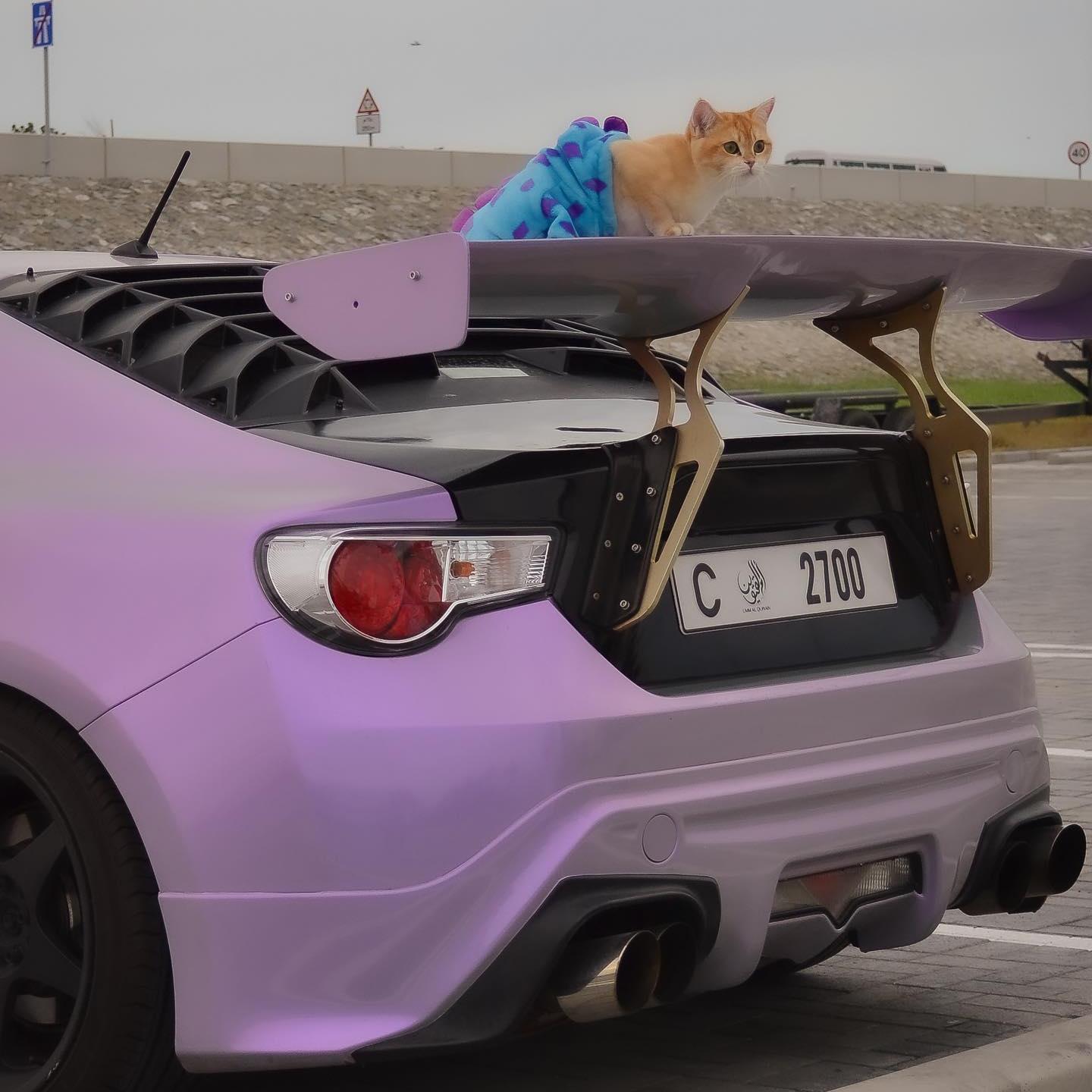 Gloss Metallic Chameleon Candy Grey Purple Car Vinyl Wrap PET