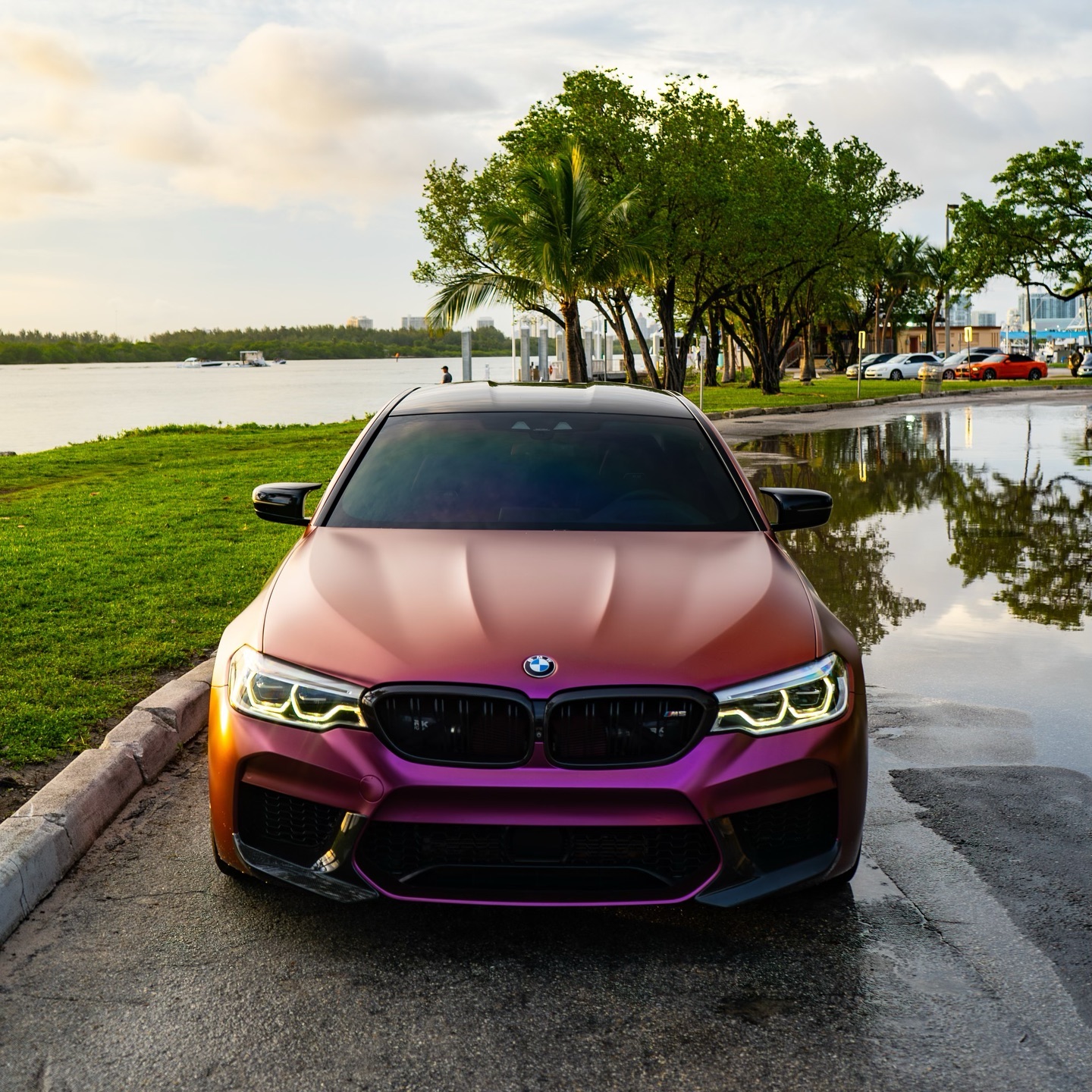 Matte Diamond Brown Red Car Vinyl Wrap