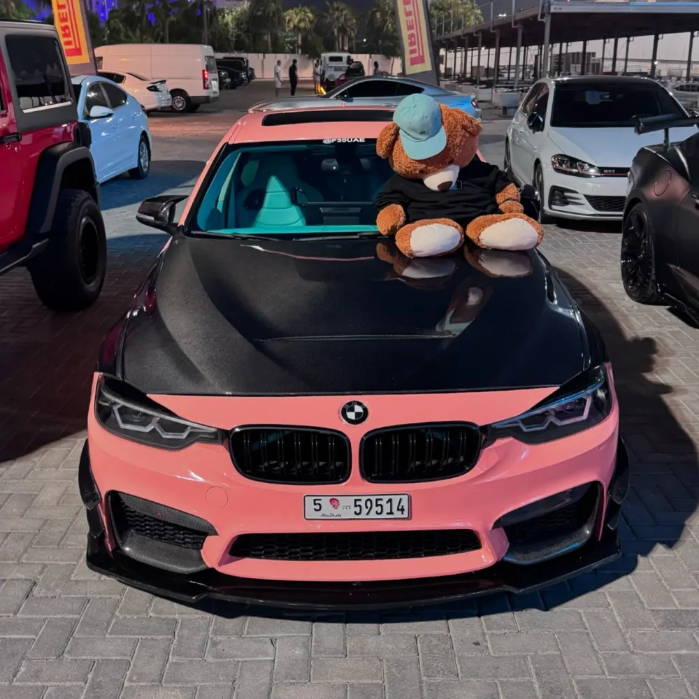 Gloss Salmon Pink Car Vinyl Wrap