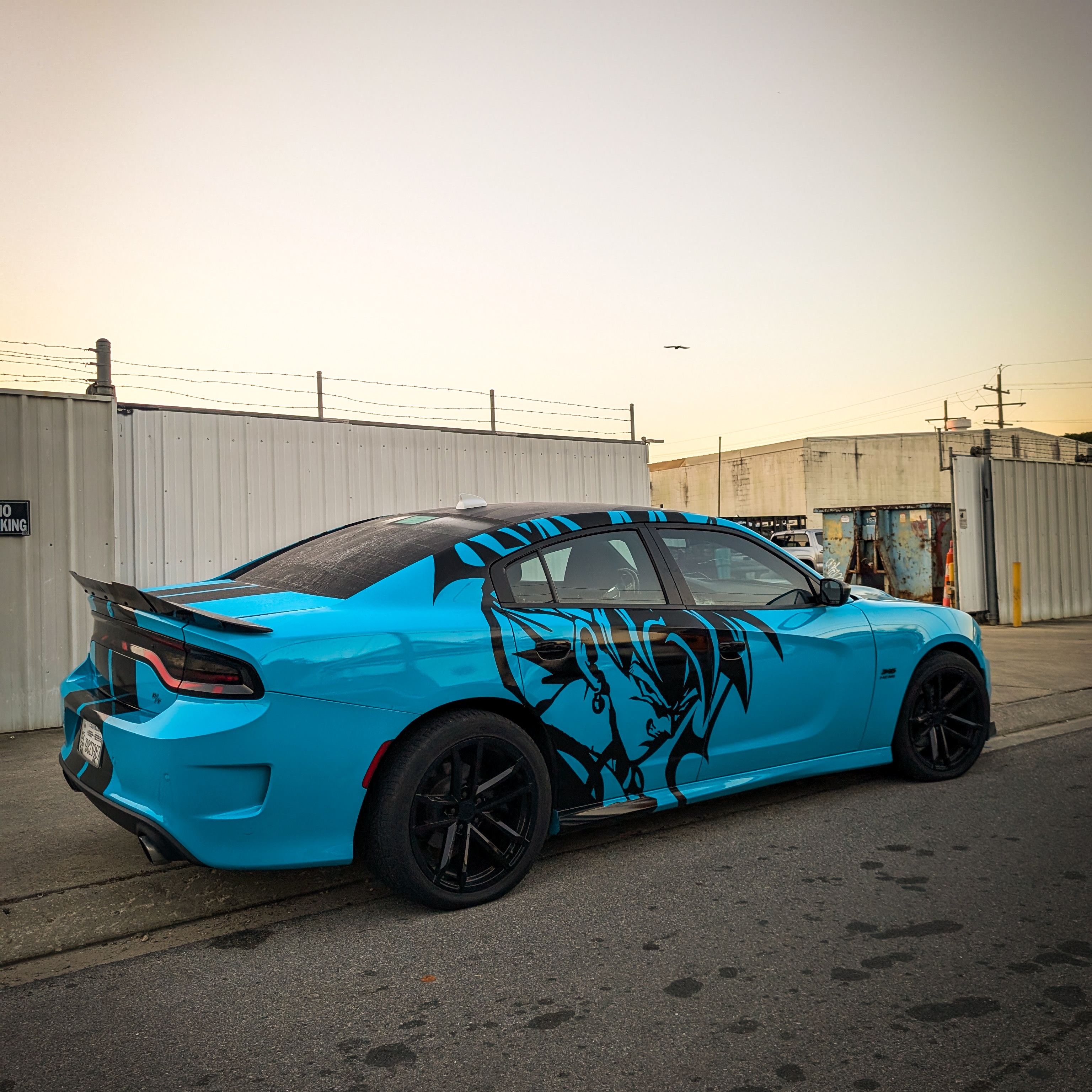 custom car wrap